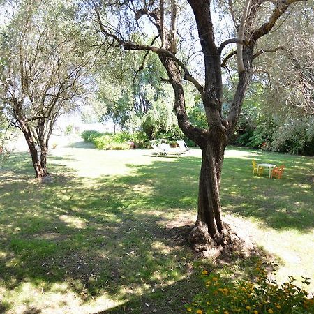 Casa Romana ヴィアレッジョ エクステリア 写真
