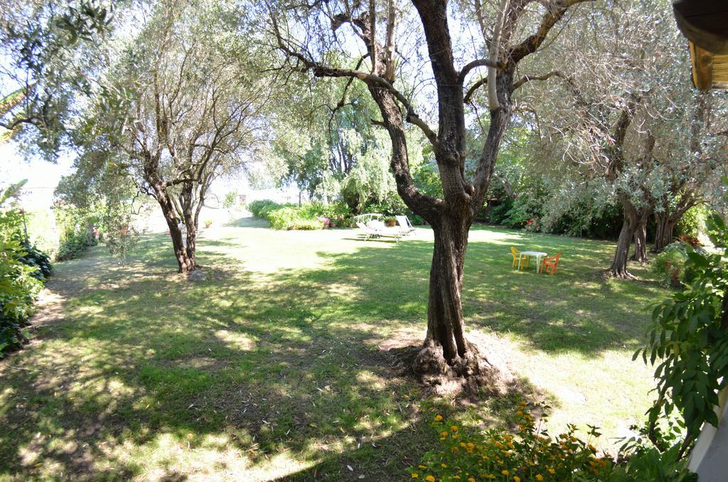 Casa Romana ヴィアレッジョ エクステリア 写真