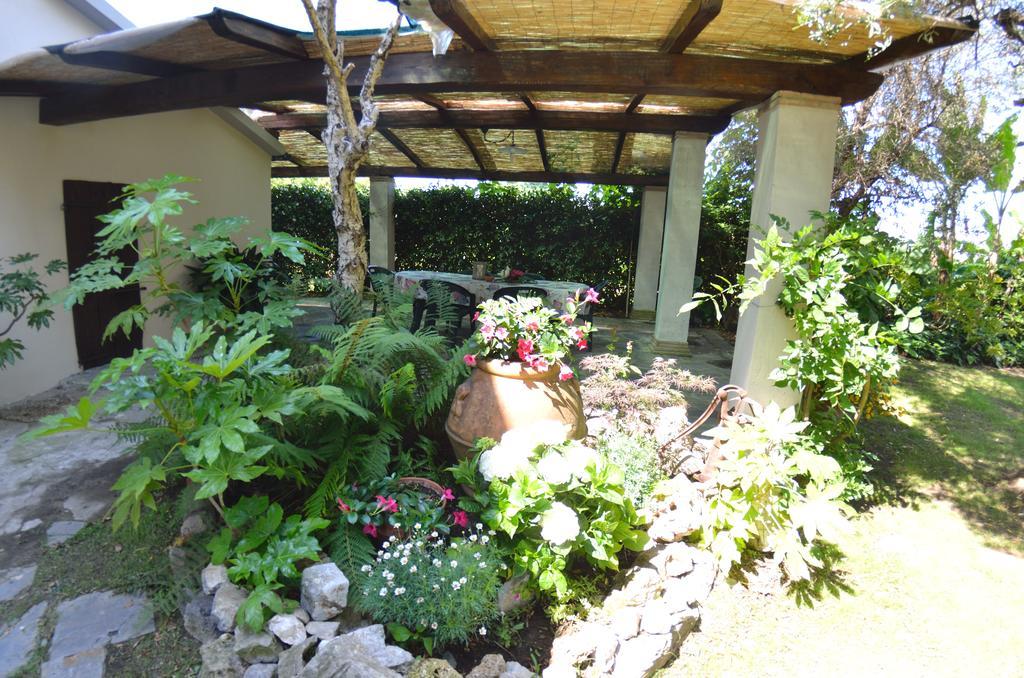 Casa Romana ヴィアレッジョ エクステリア 写真