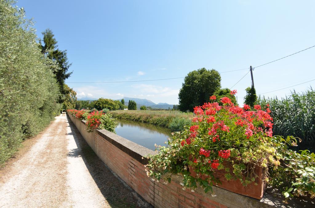 Casa Romana ヴィアレッジョ エクステリア 写真