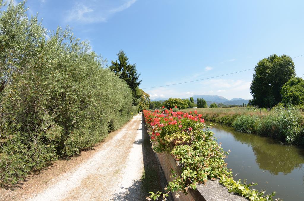 Casa Romana ヴィアレッジョ エクステリア 写真