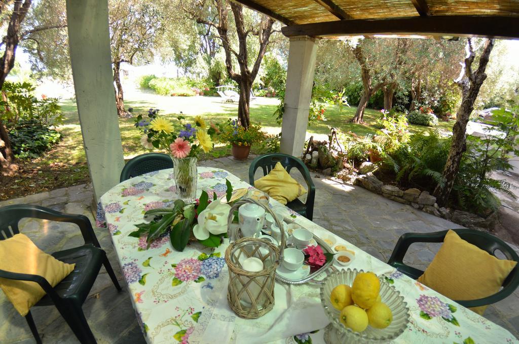Casa Romana ヴィアレッジョ エクステリア 写真