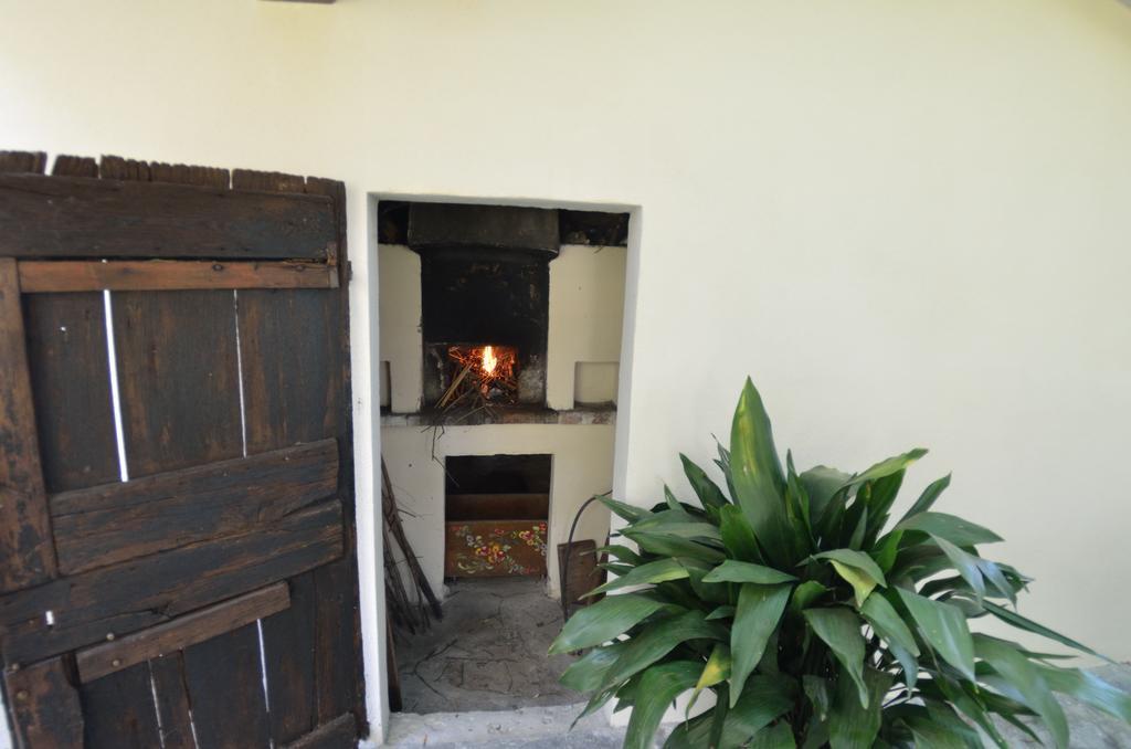 Casa Romana ヴィアレッジョ エクステリア 写真